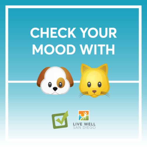 Check your mood with a furry companion