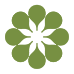 Network of Care