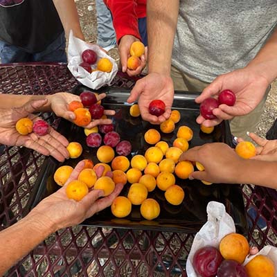 2022 Annual Impact Report