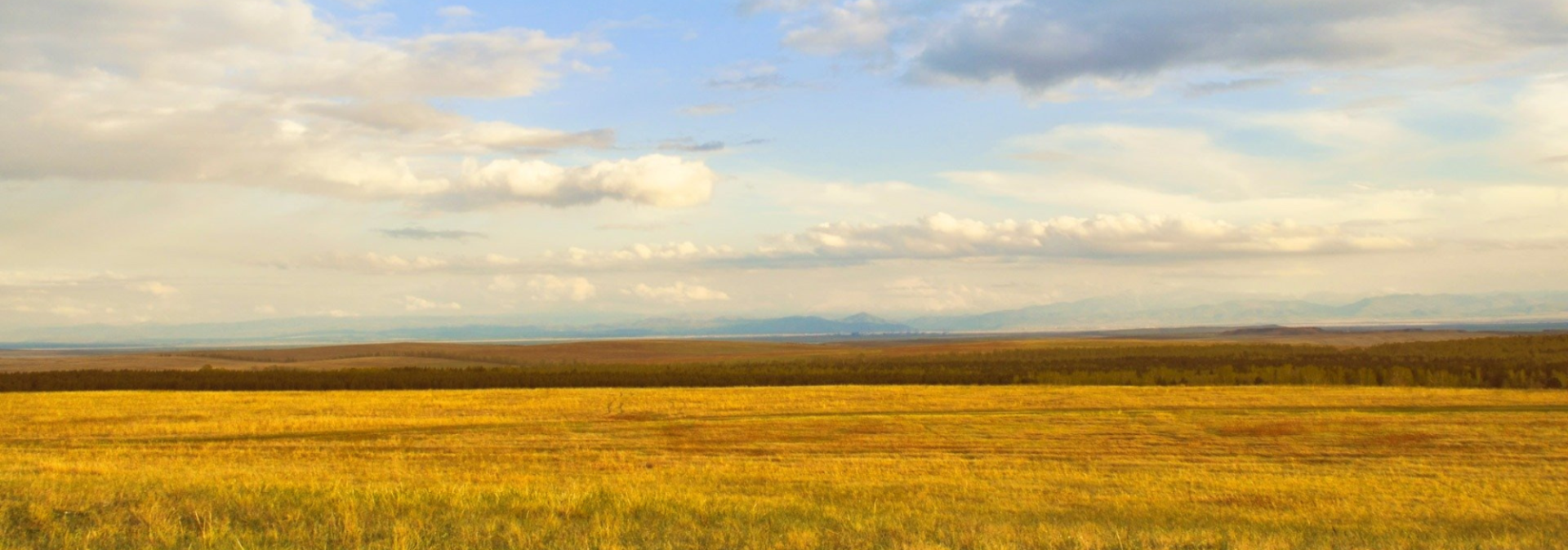 Landscape of an open field and blue cloudy sky
