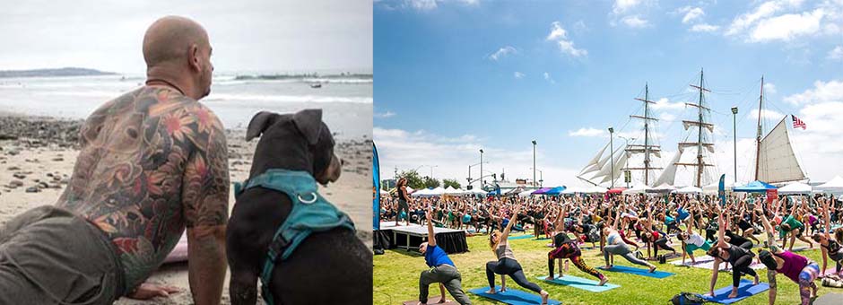 Older man and dog do yoga on the beach; Waterfront park community yoga session with Star of India boat in background
