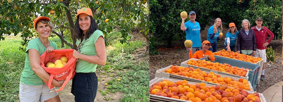 Women holding baskets of oranges