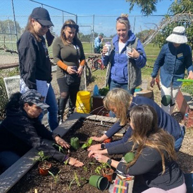 May News School Gardens 1x1