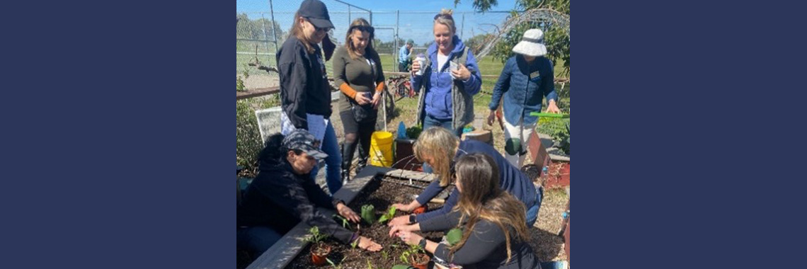 May News School Gardens 3x1