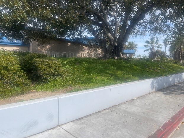 Mountain View RLA