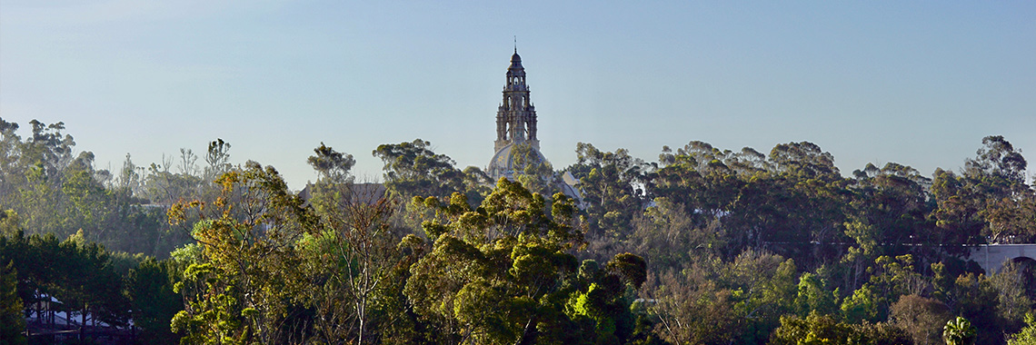 3x1 SDCCU Balboa Park Banner
