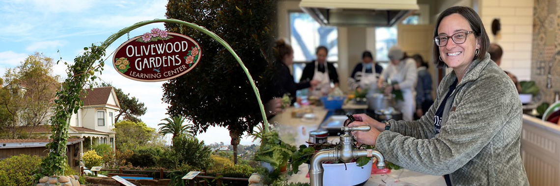 Olivewood Gardens - 3x1 banner