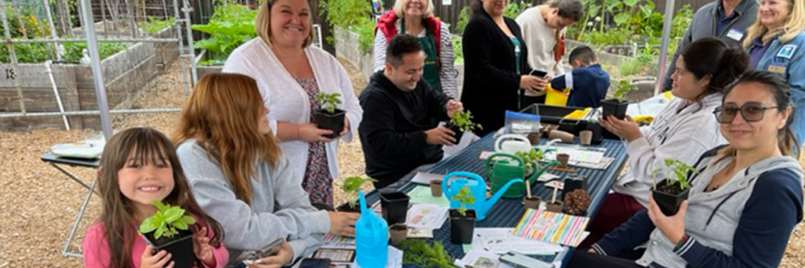 3x banner Benefits Buy Seeds Gardening Project