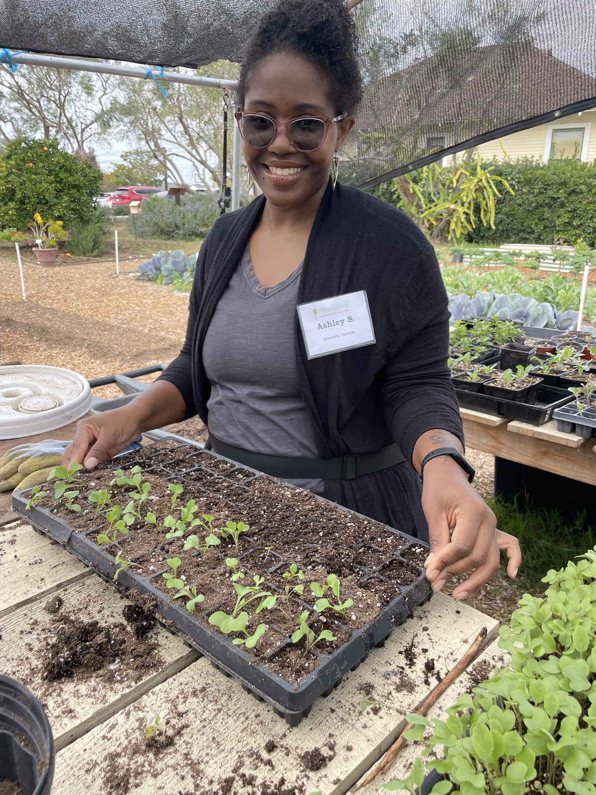 Ashley Smith preparing seedlings at olivewood