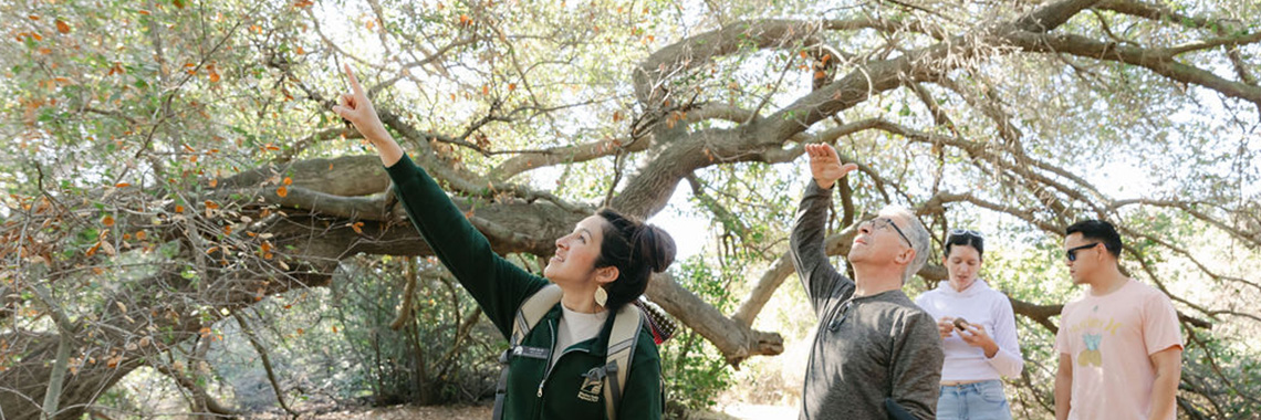 Mission Trails Regional Park Volunteer Aida Silva leads a nature walk through the park