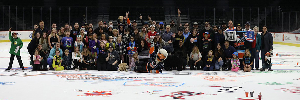 Gulls Blog 3x1 banner