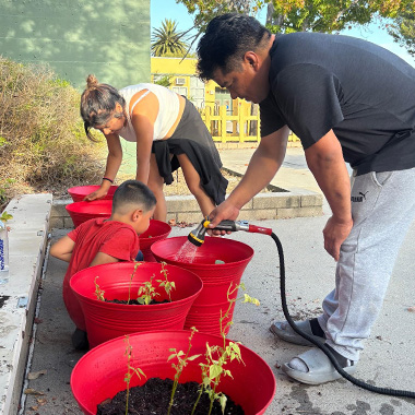 1x1 fern street thumbnail