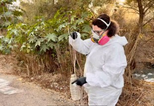 Dr. Paula Granados taking samples in the community