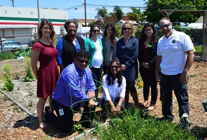 people in community garden