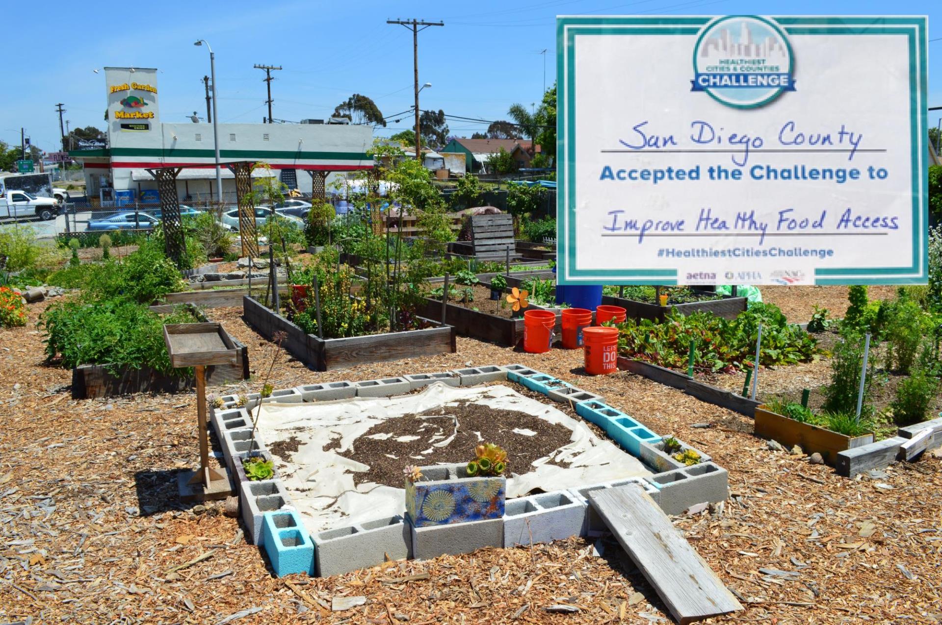 Mt. Hope Community Garden