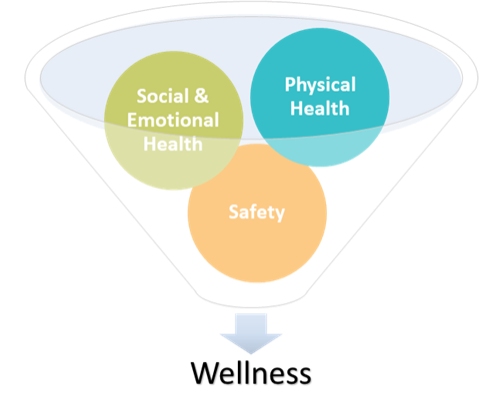 LCAP Categories: Social & Emotional Health, Physical Health, Safety, Wellness
